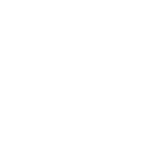 Camp
