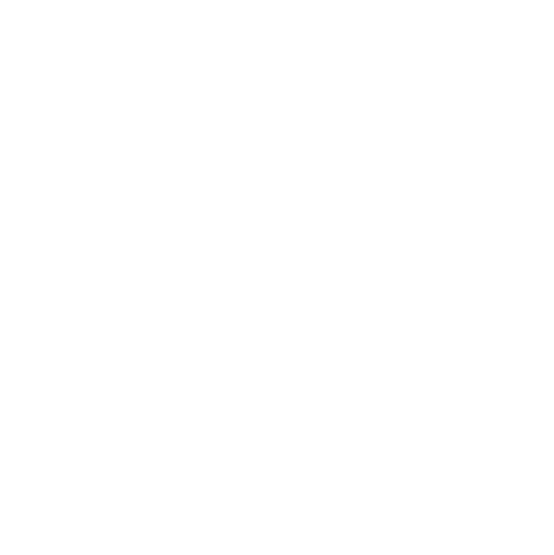 Ski, Sled & Skate
