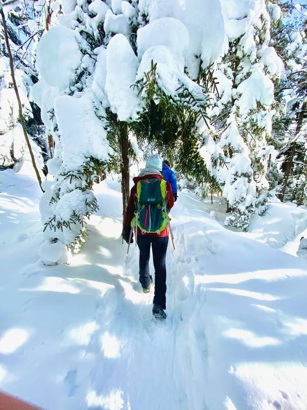 Backwoods Winter Hiking