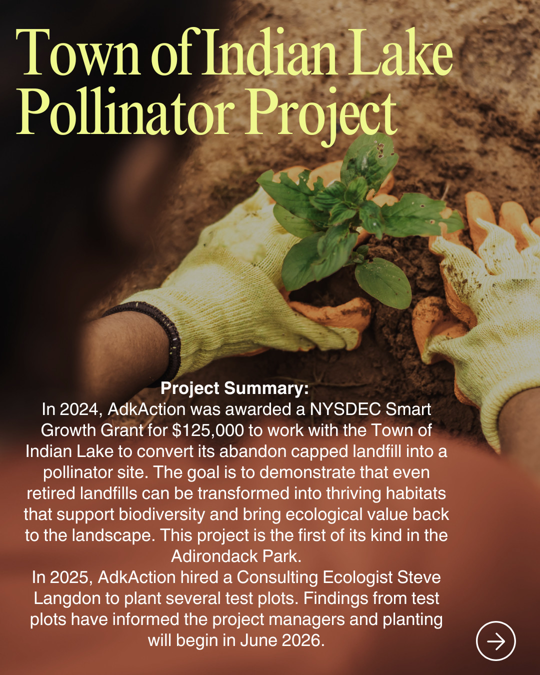 Pollinator Project Description page 1