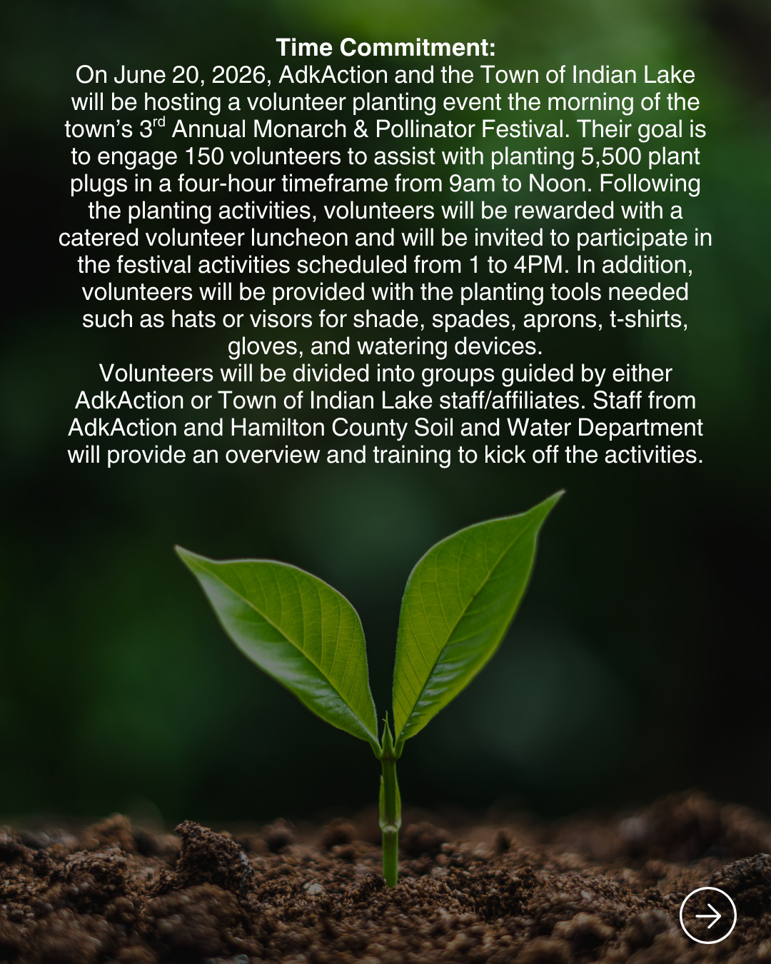Pollinator Project Description page 2